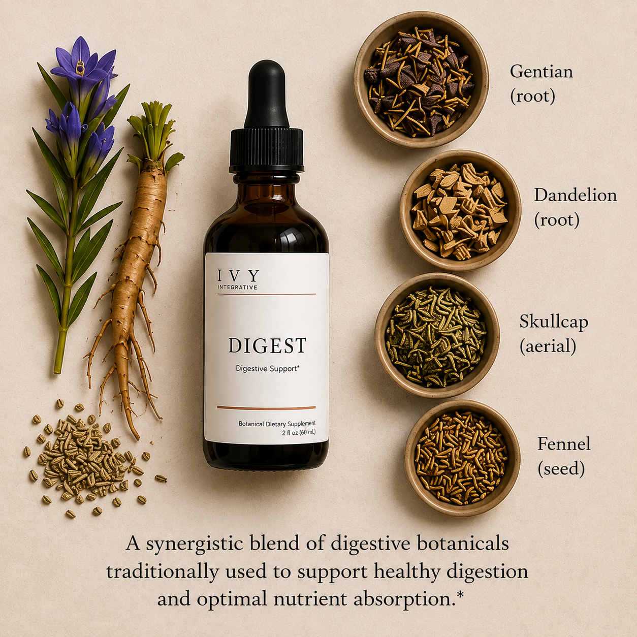 IVY Digest™ | Digestive Support Tincture