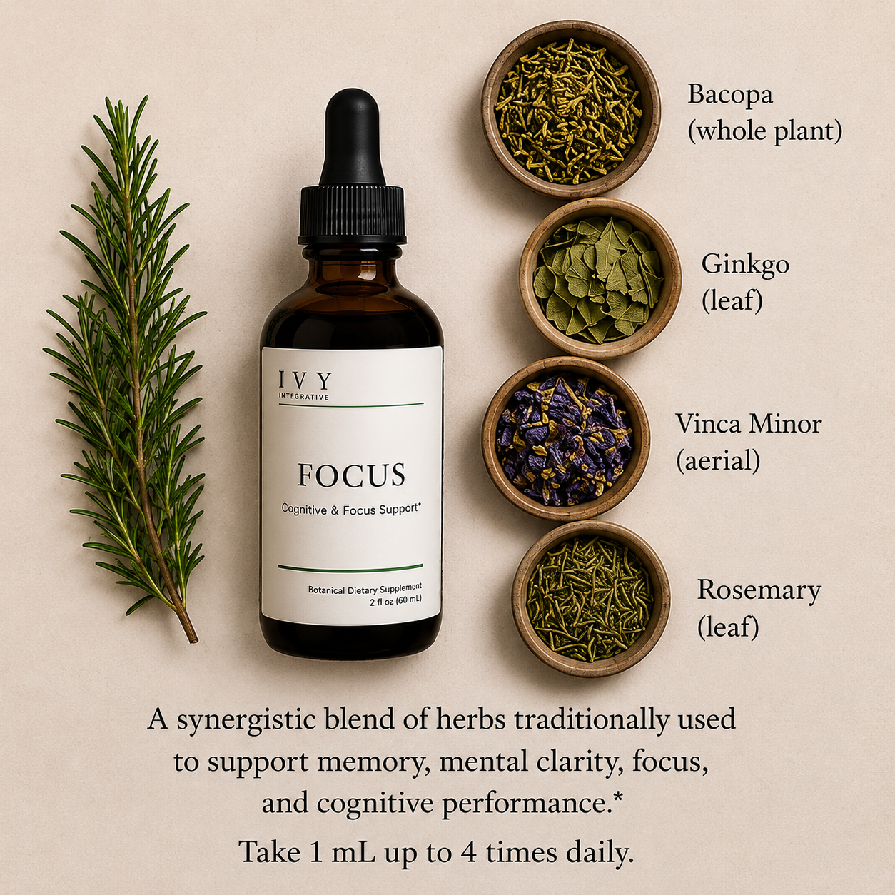 IVY Focus™ | Cognitive & Focus Support Tincture