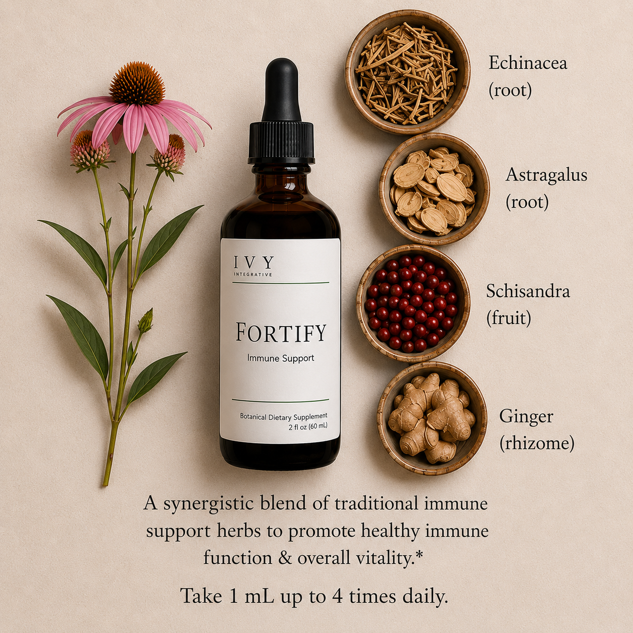 IVY Fortify™ | Immune Support Tincture