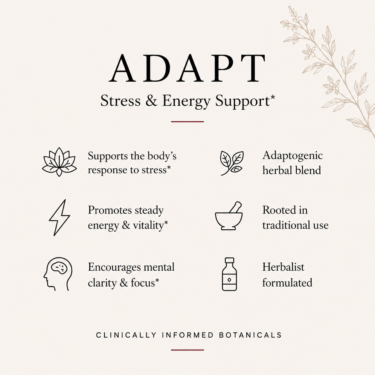 Product description card for 'Adapt' stress and energy support with icons and text on a white background.