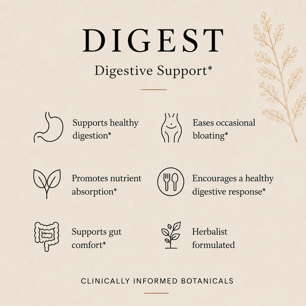 IVY Digest™ | Digestive Support Tincture