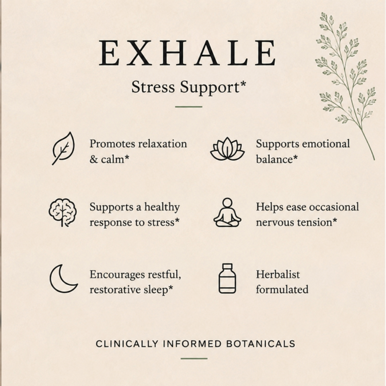 IVY Exhale™ | Stress Support Tincture