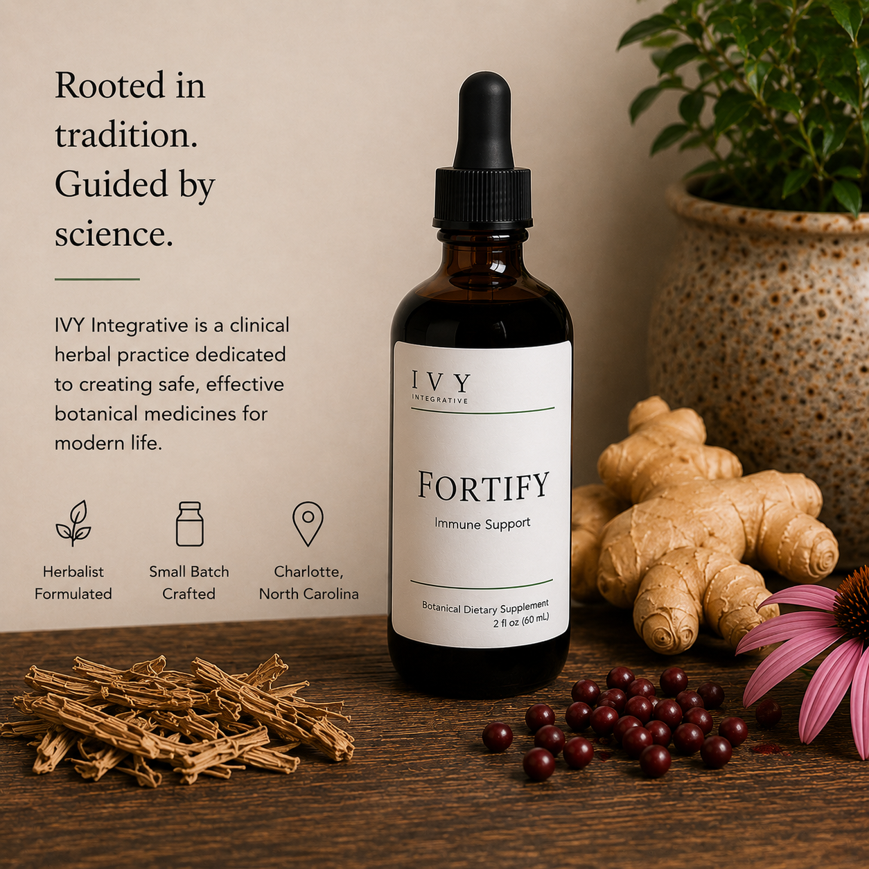 IVY Fortify™ | Immune Support Tincture